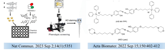 3044am永利集团官网